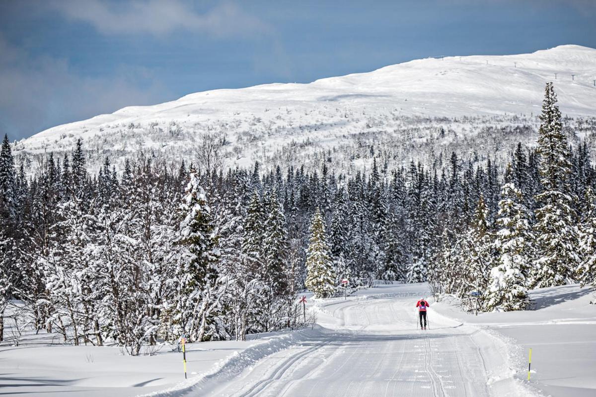 Koeja Fjaellhotell Edsasdalen المظهر الخارجي الصورة