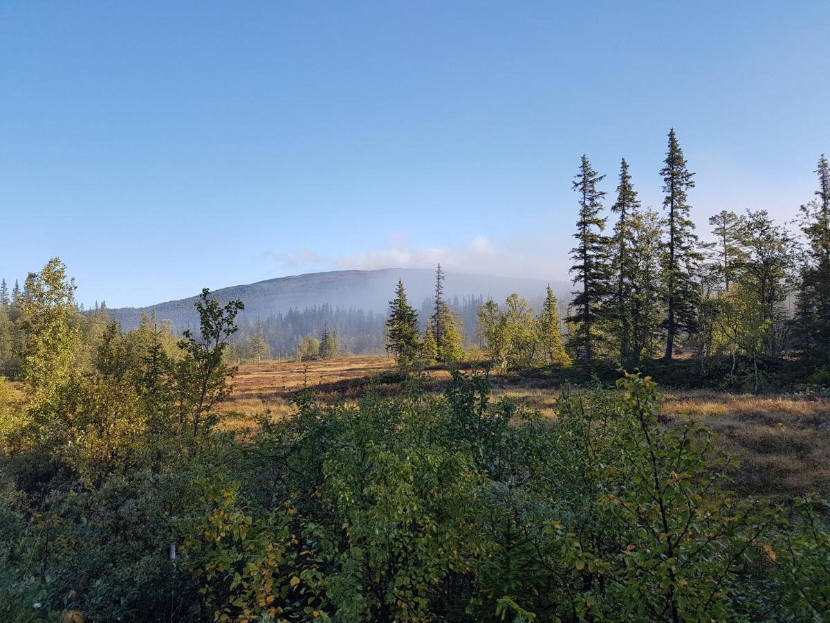 Koeja Fjaellhotell Edsasdalen المظهر الخارجي الصورة