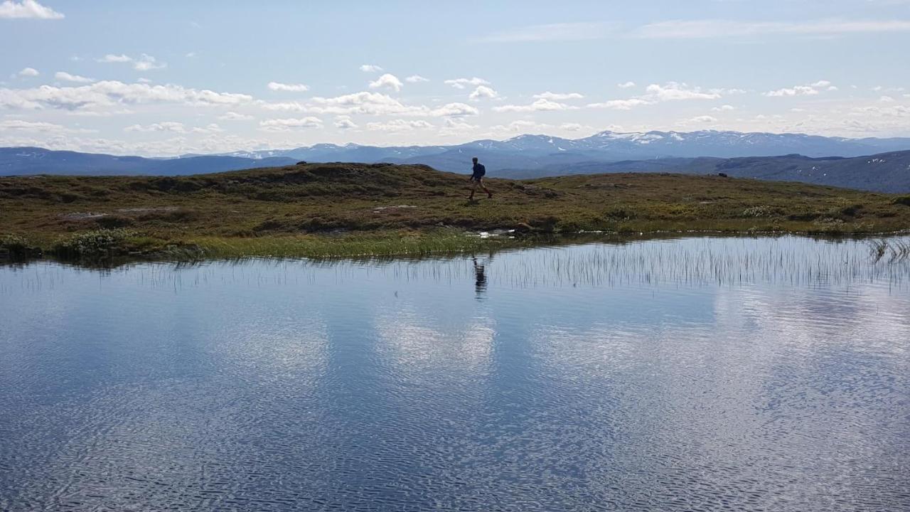 Koeja Fjaellhotell Edsasdalen المظهر الخارجي الصورة