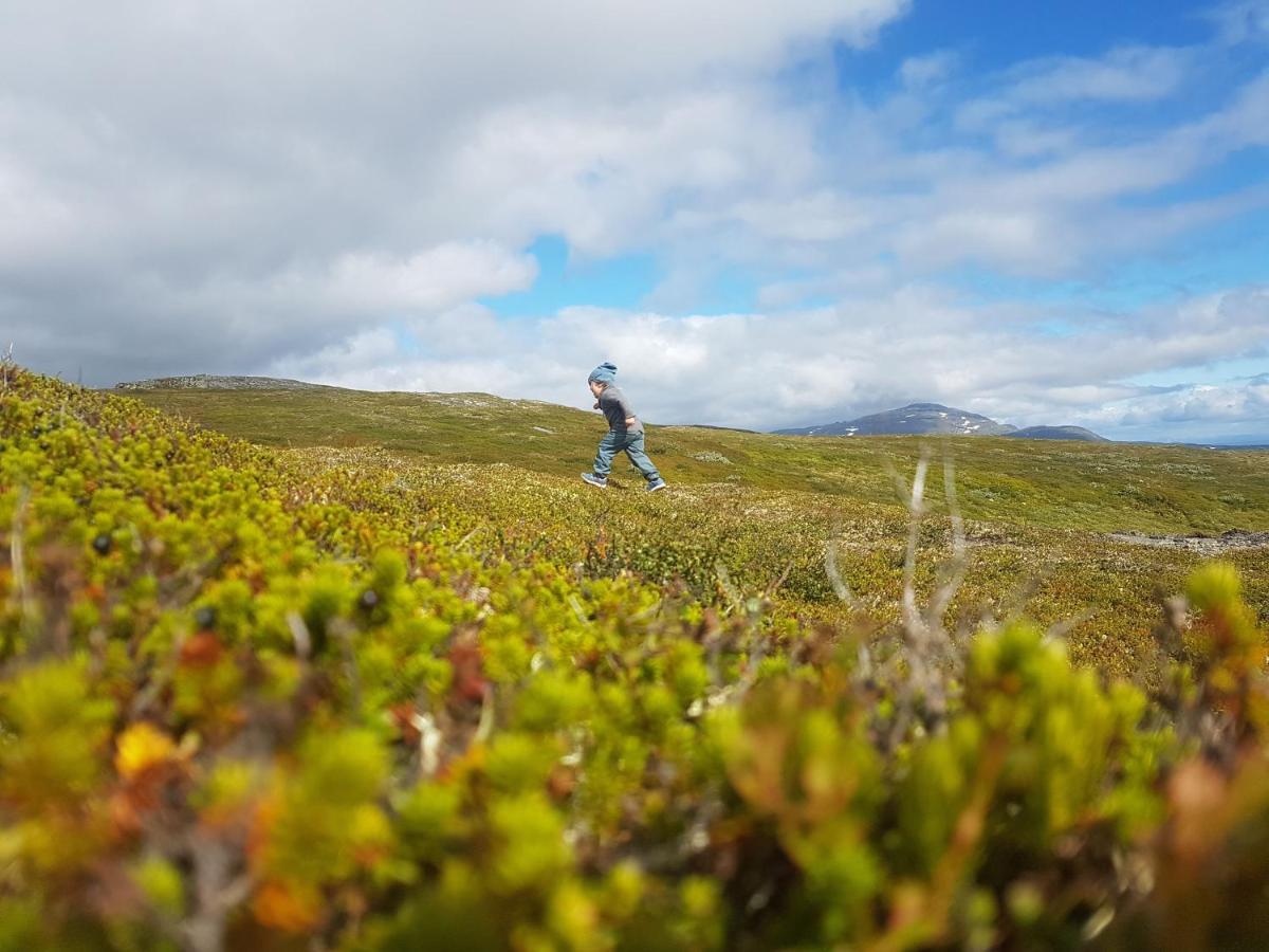 Koeja Fjaellhotell Edsasdalen المظهر الخارجي الصورة